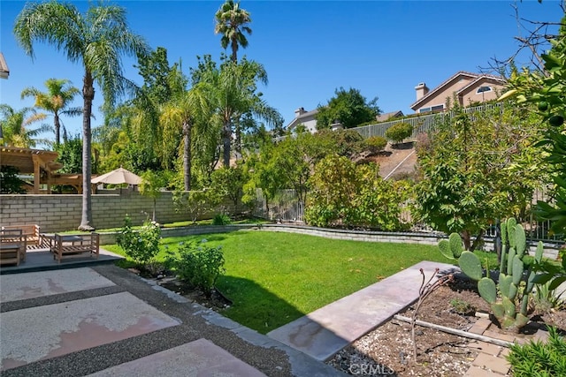 view of yard with a patio