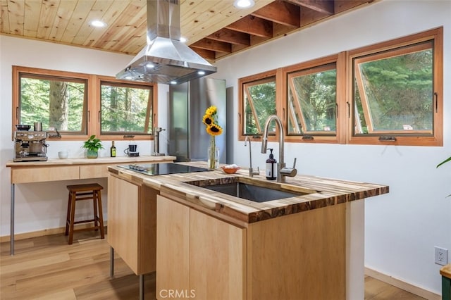 kitchen with island exhaust hood, light wood-type flooring, a healthy amount of sunlight, and sink