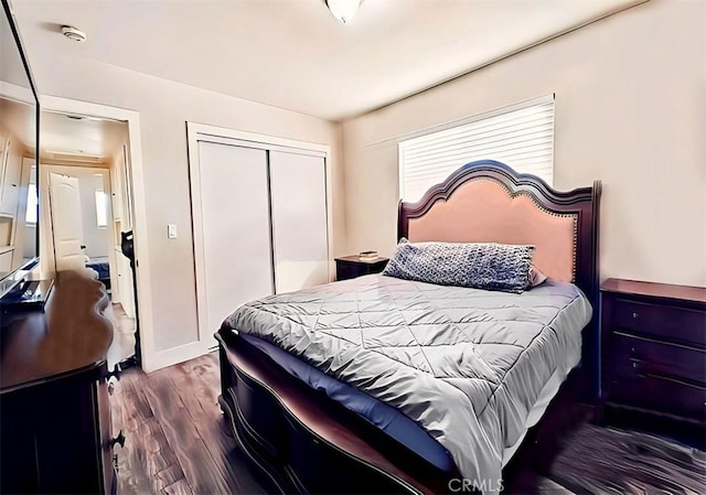 bedroom featuring dark wood-type flooring and a closet