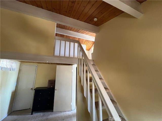 stairs with lofted ceiling with beams, wood ceiling, and carpet floors