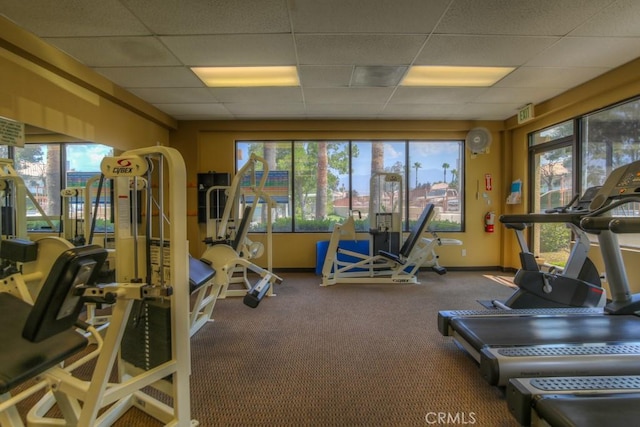 gym with a drop ceiling and carpet floors