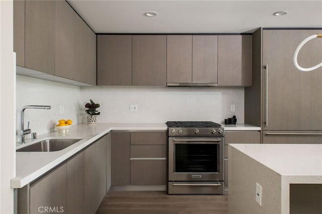 kitchen with gray cabinetry, dark hardwood / wood-style floors, sink, and stainless steel range