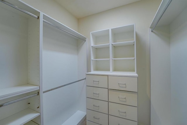 view of spacious closet