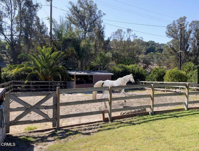 view of yard