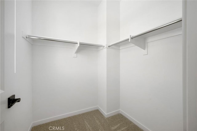 23724 Wilcox Dr, Newhall, CA 91321 - spacious closet with carpet