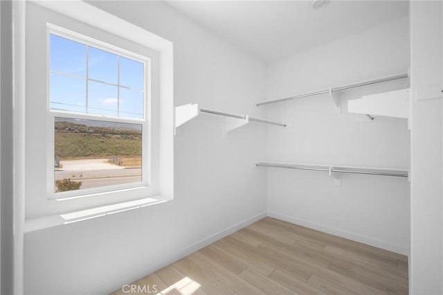 spacious closet with light hardwood / wood-style flooring