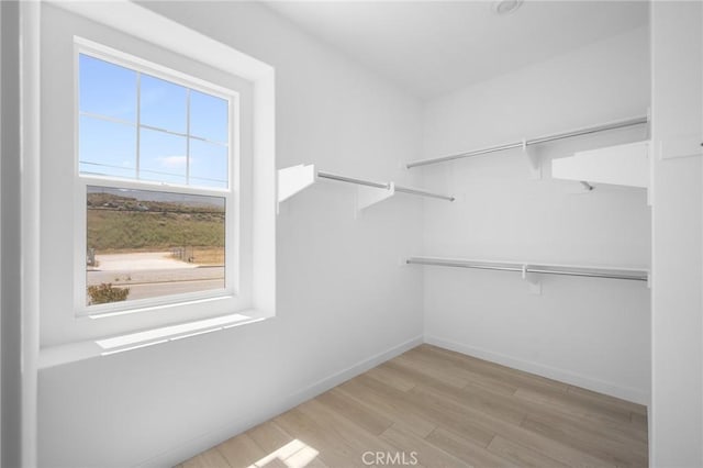 23724 Wilcox Dr, Newhall, CA 91321 - spacious closet featuring light wood-style floors