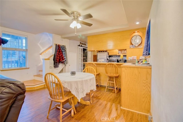 dining room with ceiling fan and light hardwood / wood-style floors