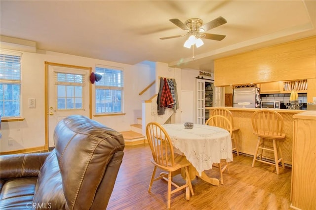 dining space with ceiling fan and light wood-type flooring