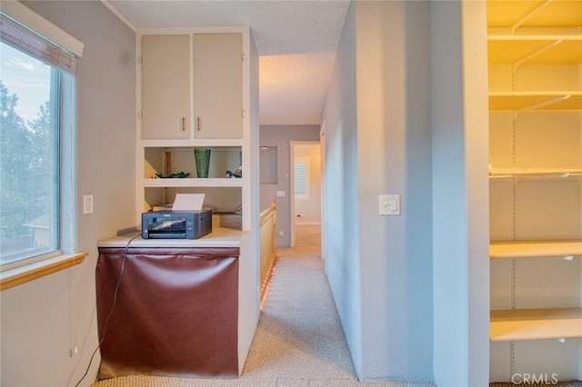 kitchen featuring light carpet