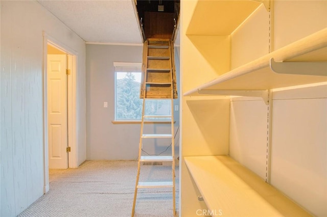 interior space with carpet floors