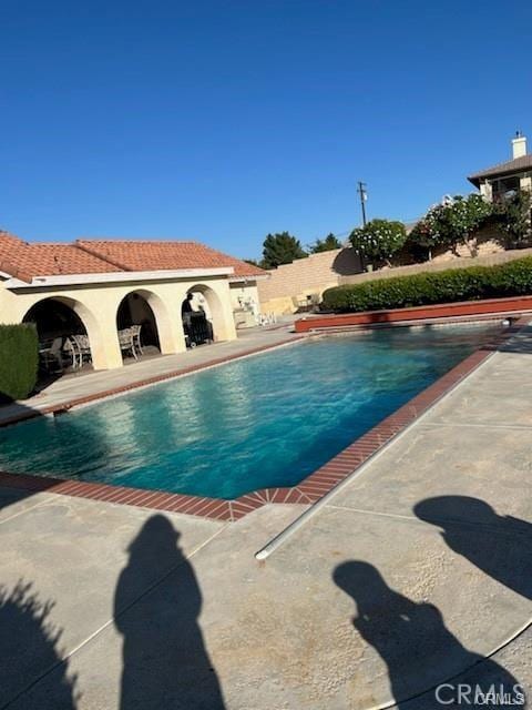 view of swimming pool with a patio area