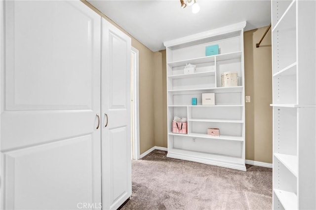 spacious closet featuring light carpet