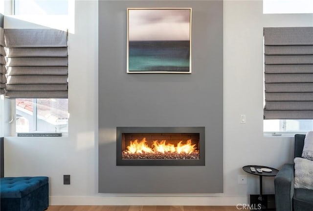 room details featuring a fireplace and hardwood / wood-style flooring