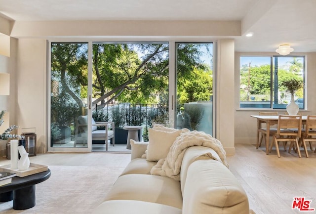 living room featuring light wood-type flooring and a wealth of natural light