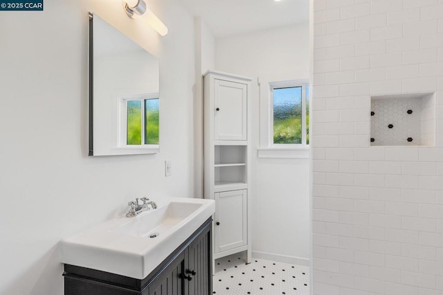 bathroom featuring vanity and a healthy amount of sunlight