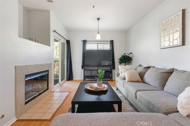 living room with a fireplace, hardwood / wood-style flooring, and a healthy amount of sunlight