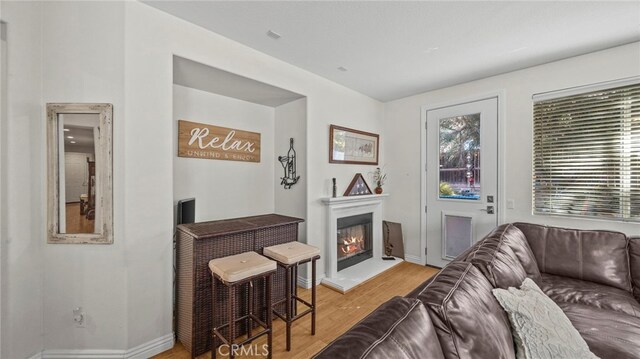 living room with wood-type flooring