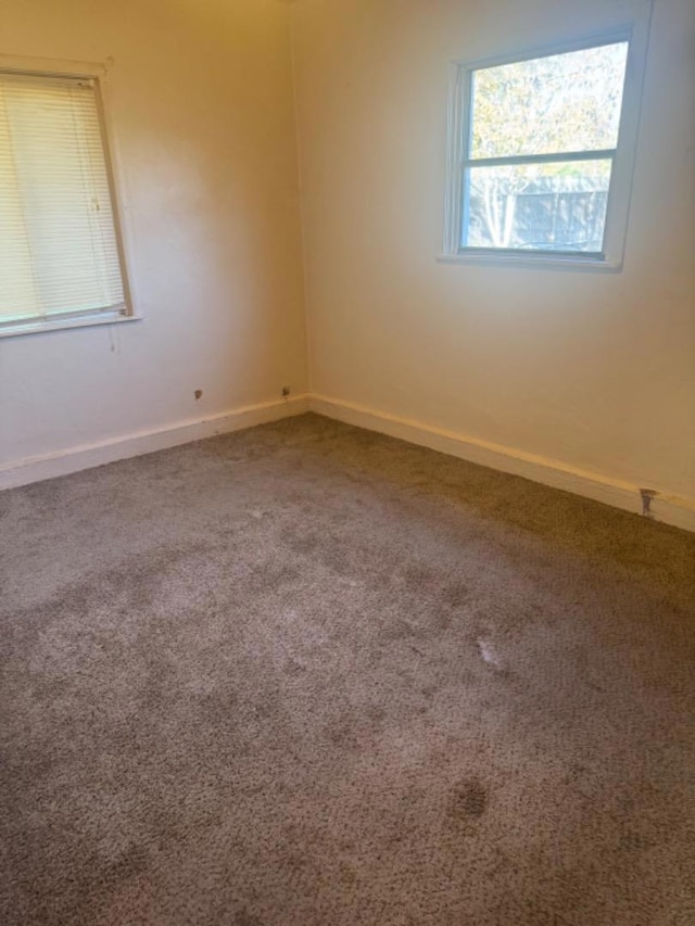 unfurnished room with carpet flooring