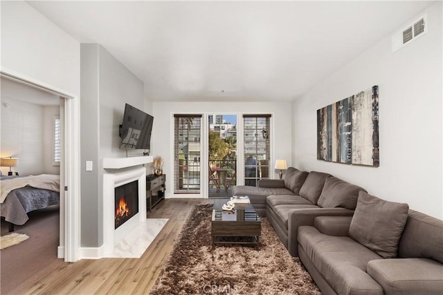 living room featuring hardwood / wood-style flooring