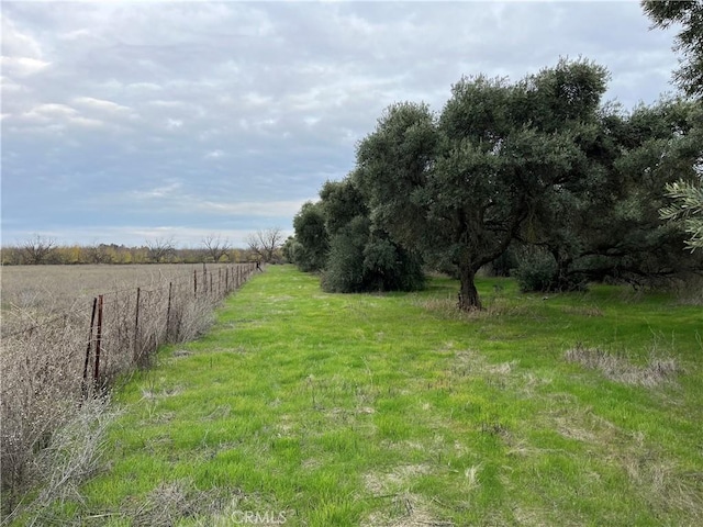 view of yard featuring a rural view