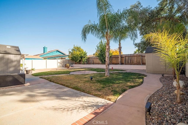 view of yard featuring a patio and a storage unit