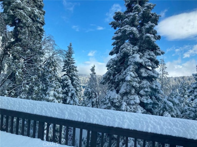 336 Jasmine Ln, Lake Arrowhead, CA 92352 - exterior space