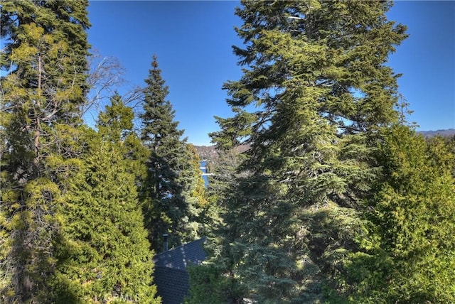 336 Jasmine Ln, Lake Arrowhead, CA 92352 - photo 29