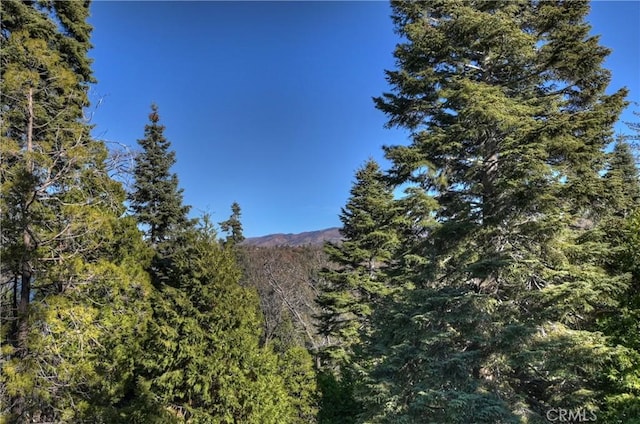 336 Jasmine Ln, Lake Arrowhead, CA 92352 - photo 31