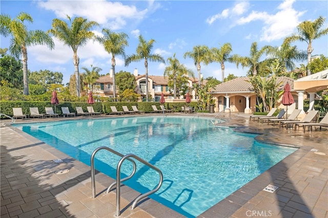 view of swimming pool featuring a patio area