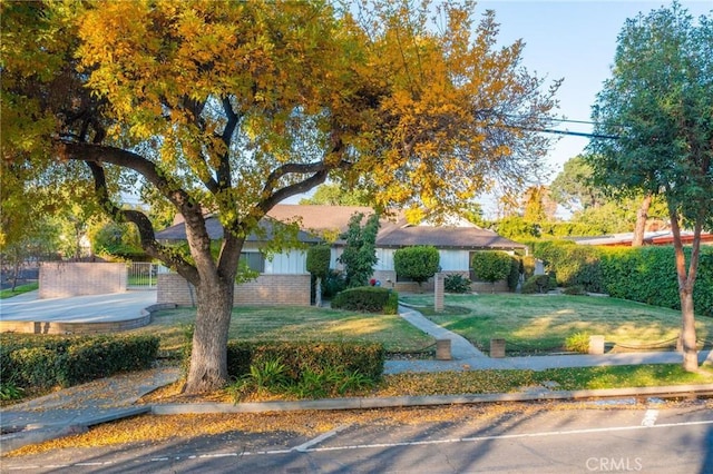 view of front of house with a front yard