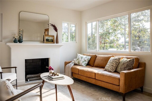 living area featuring wood-type flooring