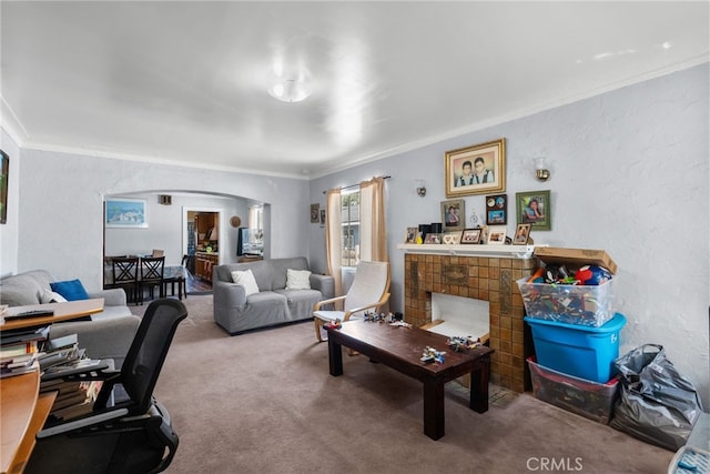 living room featuring carpet floors and ornamental molding