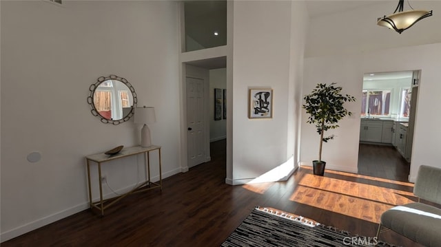 interior space with high vaulted ceiling and dark wood-type flooring