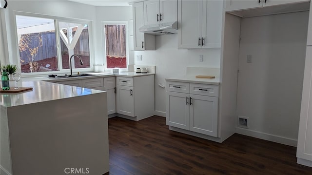 kitchen with sink, white cabinets, and dark wood-type flooring