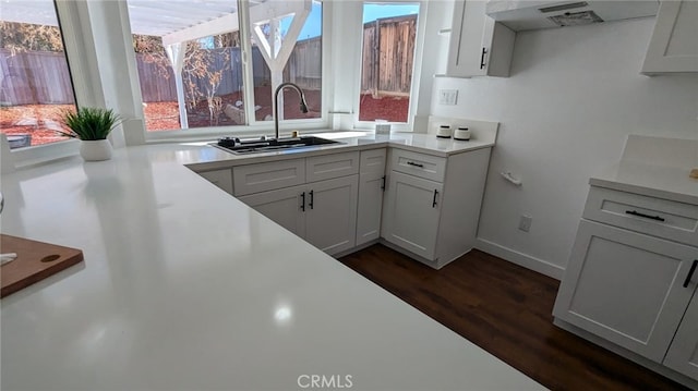 kitchen with sink, white cabinets, dark wood-type flooring, and ventilation hood