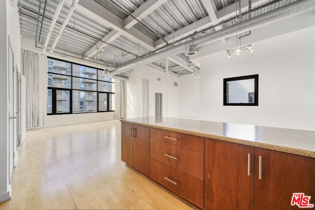 kitchen with light hardwood / wood-style floors