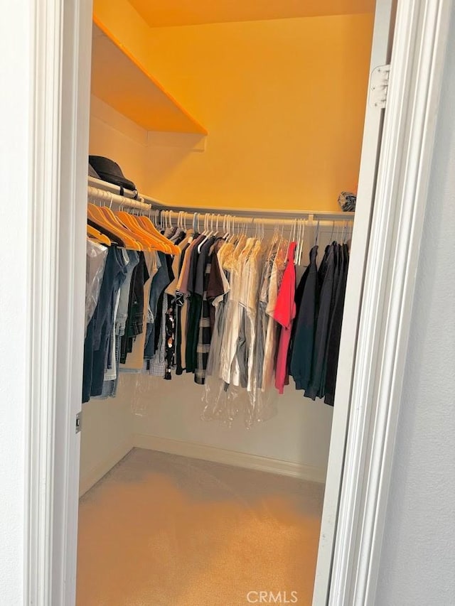 view of walk in closet