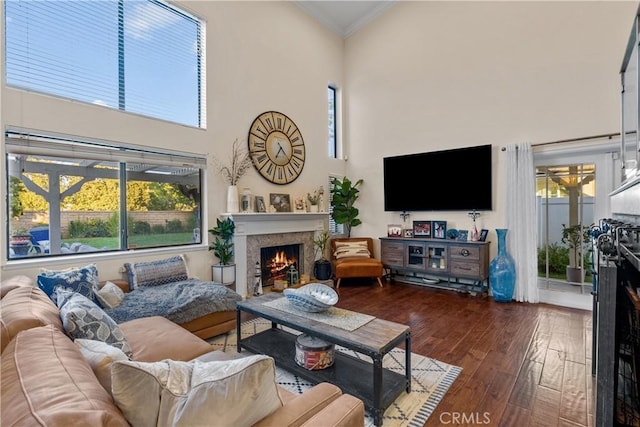 living room with ornamental molding, dark hardwood / wood-style floors, and a towering ceiling