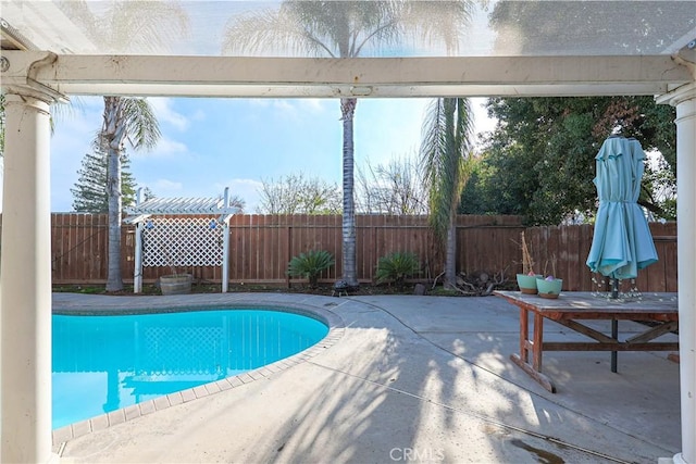 view of pool with a patio area