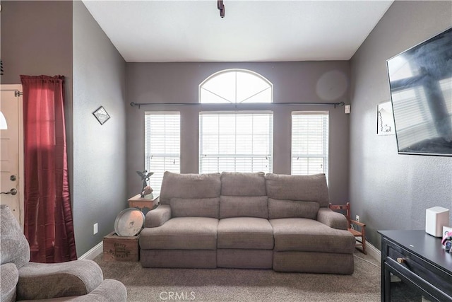 living room featuring carpet flooring