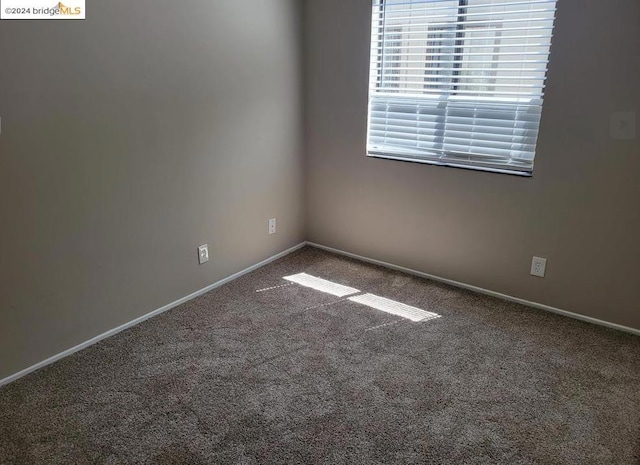 unfurnished room with carpet flooring