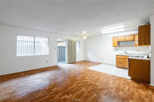 kitchen with a textured ceiling, sink, ceiling fan, white gas cooktop, and light hardwood / wood-style flooring