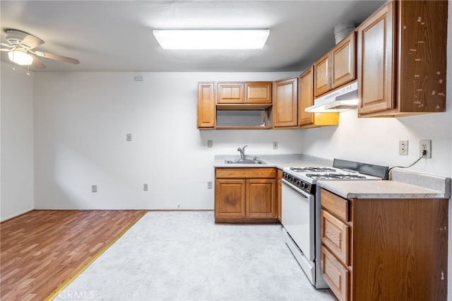 kitchen featuring ceiling fan, light wood-type flooring, sink, and white gas range oven