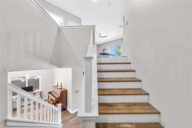 stairway with ceiling fan, lofted ceiling, and hardwood / wood-style flooring