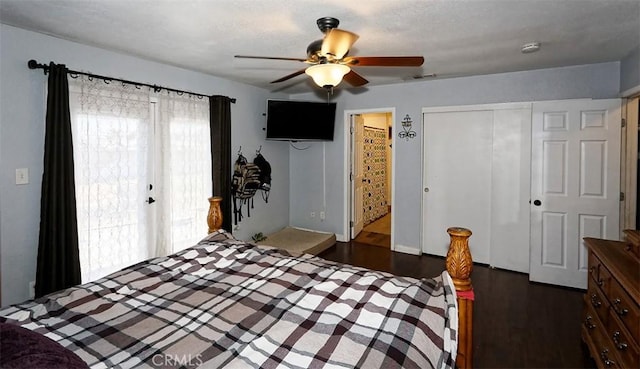 bedroom featuring ceiling fan and dark hardwood / wood-style floors