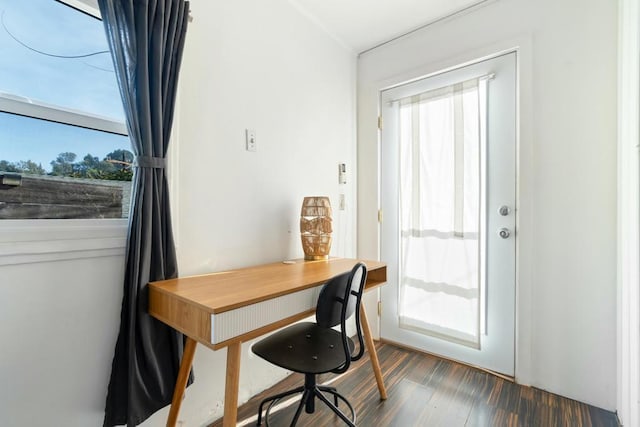 office featuring dark wood-type flooring