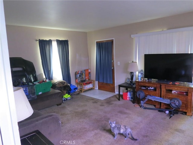 living room featuring light colored carpet