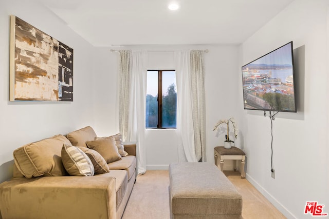 living room featuring light carpet