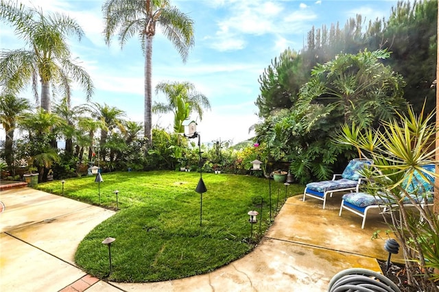 view of home's community featuring a yard and a patio area